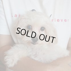 画像1: マルプーミックス　クリーム　男の子　