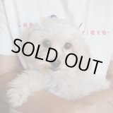 画像: マルプーミックス　クリーム　男の子　