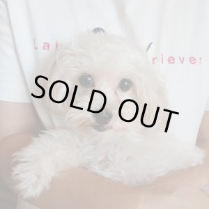 画像: マルプーミックス　クリーム　男の子　